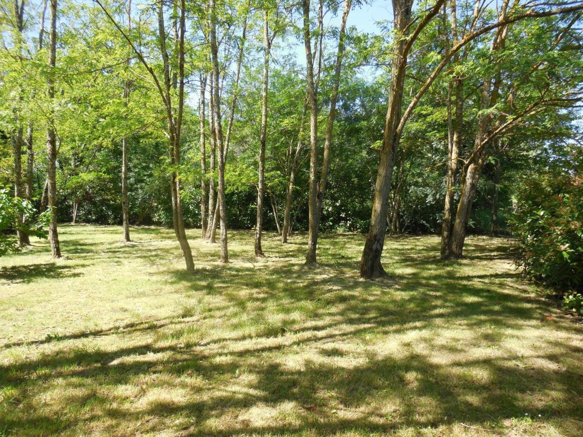Le Bois De Célio Hébergement de vacances