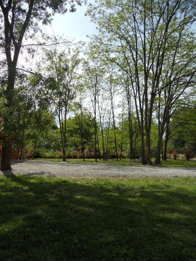 Le Bois De Célio Coux